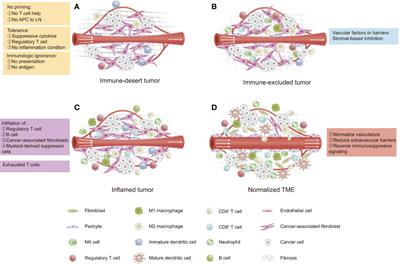 Targeted drug delivery system for ovarian cancer microenvironment: Improving the effects of immunotherapy